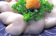 東京 港区 天然とらふぐ うなぎ 鱧 すっぽん料理|万事屋 藤吉